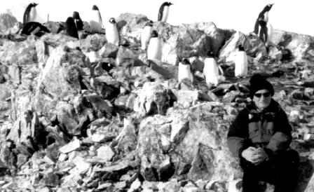 Кореспондент газети «Демократична Україна» Вадим Фельдман у колонії пінгвінів на острові Галіндез (фото зроблено у березні 2012 року під час перезмінки 16-ї і 17-ї експедицій)